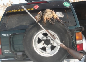 Охота на фазана, закрытие