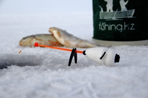 Зимняя рыбалка
