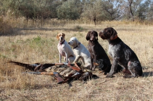 Фотосессия