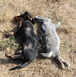 Фотосессия