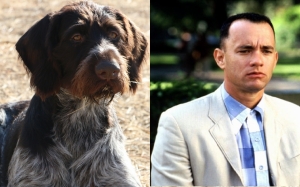 Форрест Гамп