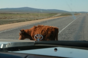 Toyota Corowa