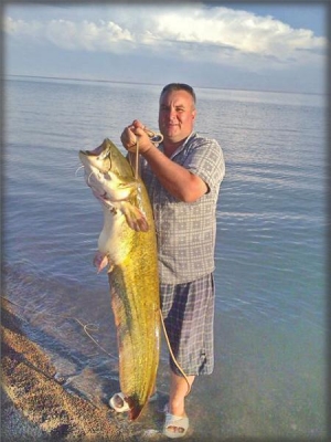 Трофейный сом на капчагае