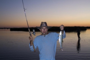 Жерех на спиннинг