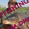 Ловля белого амура и карпа, carpfishing